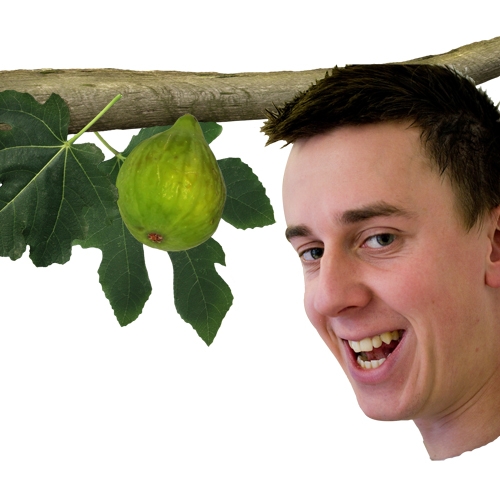 Creation of Fig Plucker: Step 1
